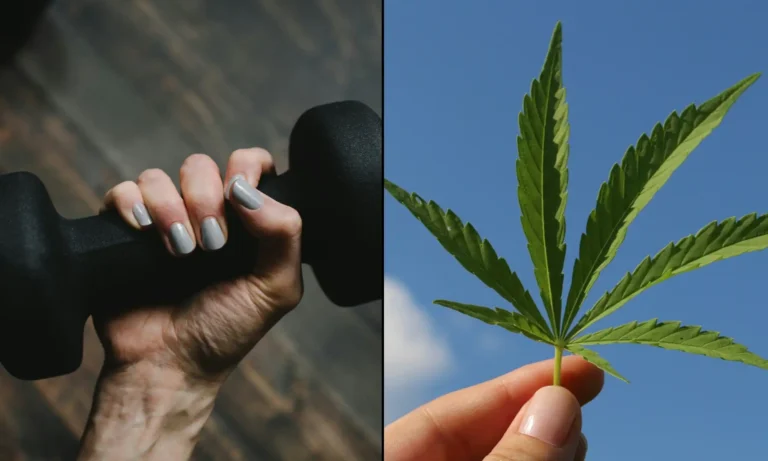 Another Study Debunks Lazy Stoner Stereotype, Linking Marijuana Use To An Increase In Some Kinds Of Exercise