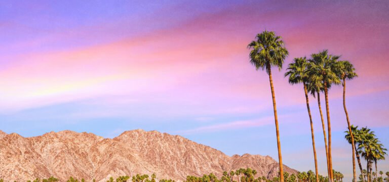 California Earned $248 Million in Q1 Cannabis Tax Revenue California Earned $248 Million in Q1 Cannabis Tax Revenue