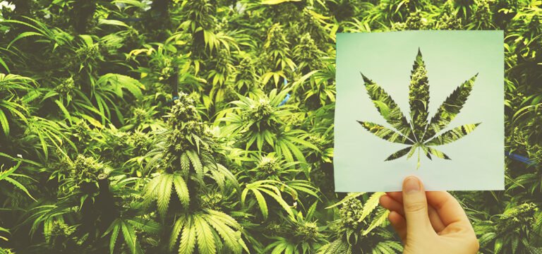 Indiana Gov. Says Federal Medical Cannabis Reclassification Makes State Reforms ‘More Likely’