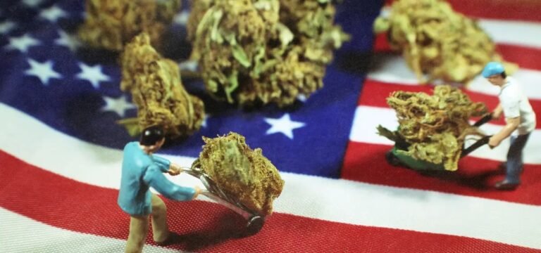National Labor Relations Board Rejects Claim that Cannabis Employees Are Ag Workers and Cannot Unionize 