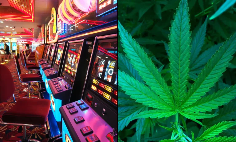 Nevada Is Losing Out On $80 Million In Annual Revenue By Separating The Marijuana And Gaming Industries, Report Finds Nevada Is Losing Out On $80 Million In Annual Revenue By Separating The Marijuana And Gaming Industries, Report Finds