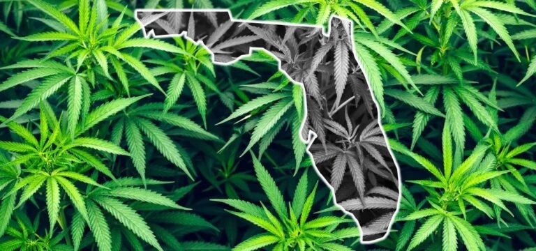 Report: Most Candidates for Florida Governor Oppose Legalizing Cannabis