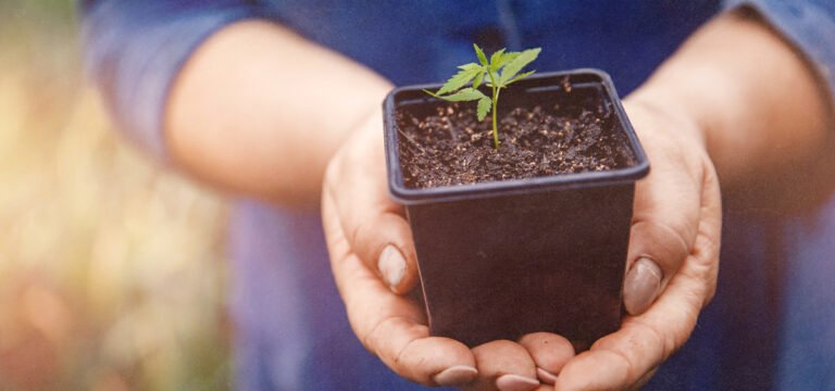Revelry Buyers Club Brings New York Cannabis Operators to Hudson