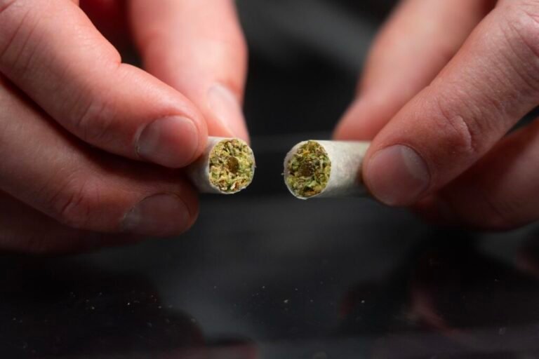 RollPros Unlocks Scalable Hash Hole Production with the Blackbird XXL RollPros Hash Hole Example Closeup