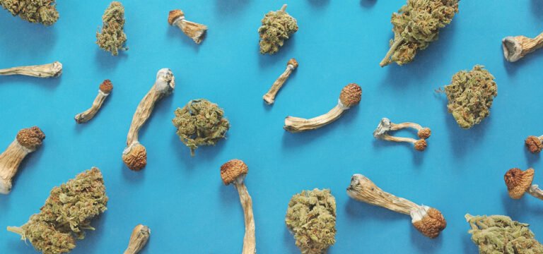 Survey: Americans Microdose Cannabis Far More Than Psychedelics