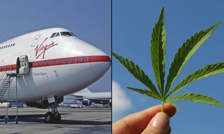 TSA Clarifies That Its Marijuana Policy 'Has Not Changed' Despite Clickbait Headlines