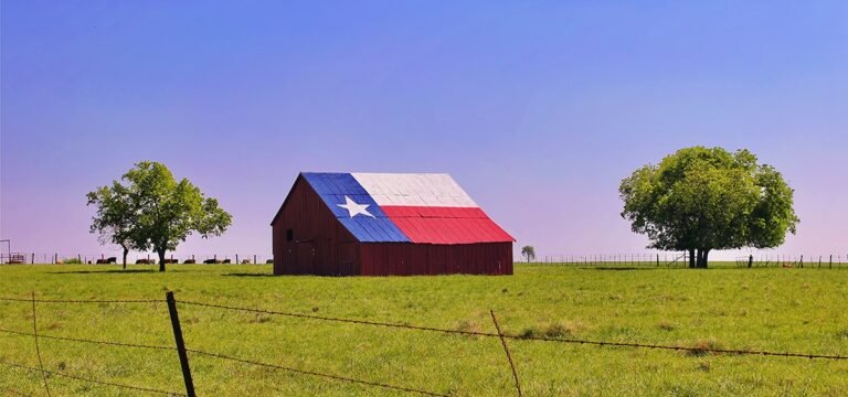Texas Poll Finds 75% Support for Medical Cannabis Reforms