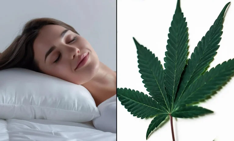 2 In 3 Americans Who Use Marijuana Say It Helps Them Sleep Better, New Survey Shows 2 In 3 Americans Who Use Marijuana Say It Helps Them Sleep Better, New Survey Shows