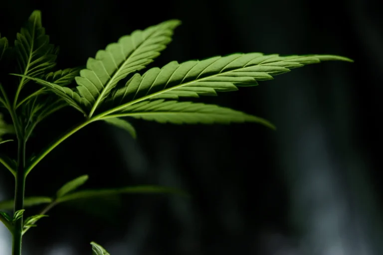 Cannabis banking legislation filed in Congress (Newsletter: June 26, 2026)