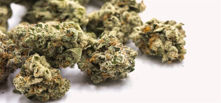 Connecticut Enters Adult-Use Cannabis Compact With Mashantucket Pequot Tribe