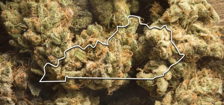 Kentucky Gov. Counters Lawmaker’s Call for Prosecuting Licensees Who Follow Qualifying Conditions Expansion Kentucky Gov. Counters Lawmaker’s Call for Prosecuting Licensees Who Follow Qualifying Conditions Expansion