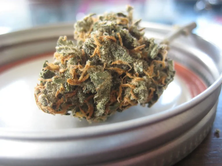 Marijuana Moment Takes Ask For Rescheduling Hearing Livestreaming Directly To DEA Head After Judge Says He Won't Consider Request