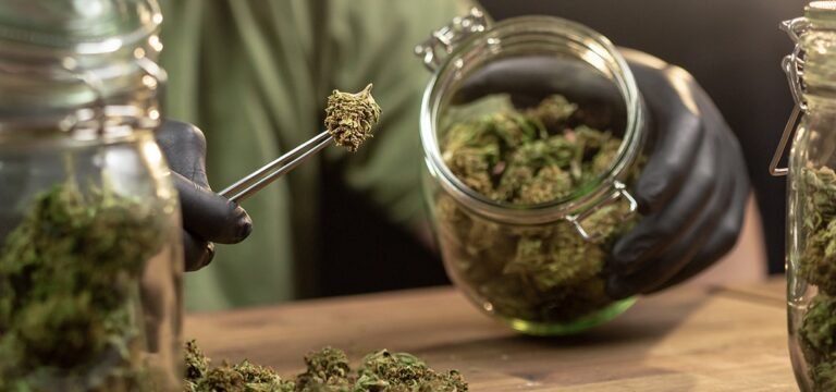 Massachusetts High Court Allows Ballot Measure to End Adult-Use Cannabis Sales to Proceed
