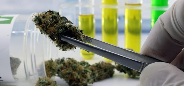 Minnesota Lab Closes Cannabis Testing Program Following License Suspension