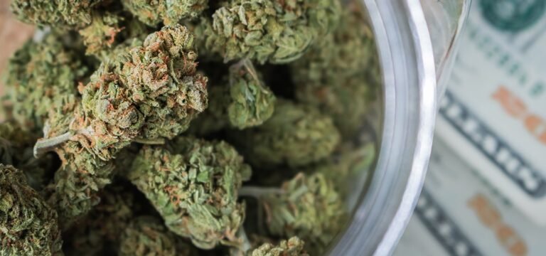 Missouri Sets New Monthly Cannabis Sales Record Missouri Sets New Monthly Cannabis Sales Record