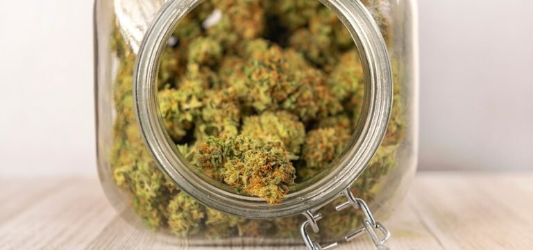 New York’s First Cannabis Showcase Held at Farm in Gorham New York’s First Cannabis Showcase Held at Farm in Gorham