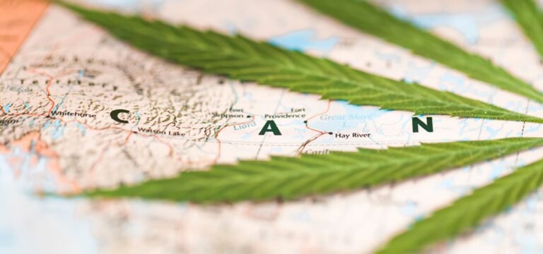 Statistics Canada: Canadian Governments Earned $2.5B from Adult-Use Cannabis Sales During One Fiscal Year