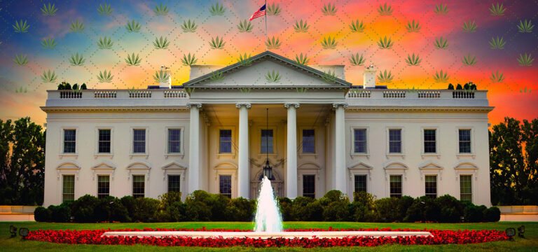 Trump Admin Asks Congress to Regulate Full-Spectrum Hemp Products or Delay Federal Crackdown