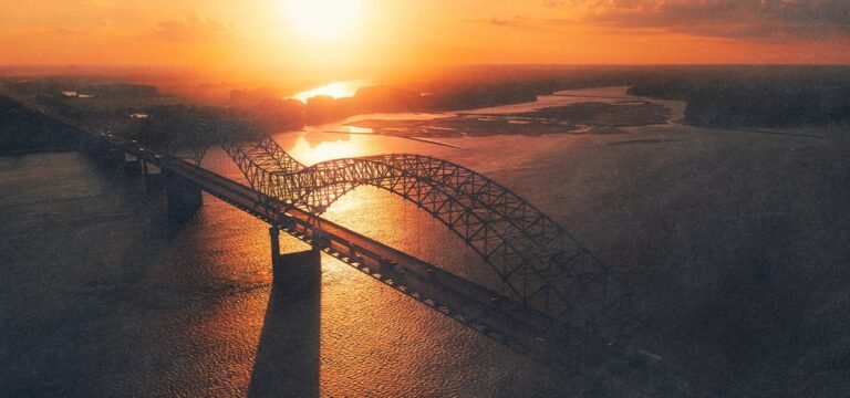 Arkansas Medical Cannabis Sales Total $140M During First Six Months of 2026, Down Slightly From 2025 Arkansas Medical Cannabis Sales Total $140M During First Six Months of 2026, Down Slightly From 2025