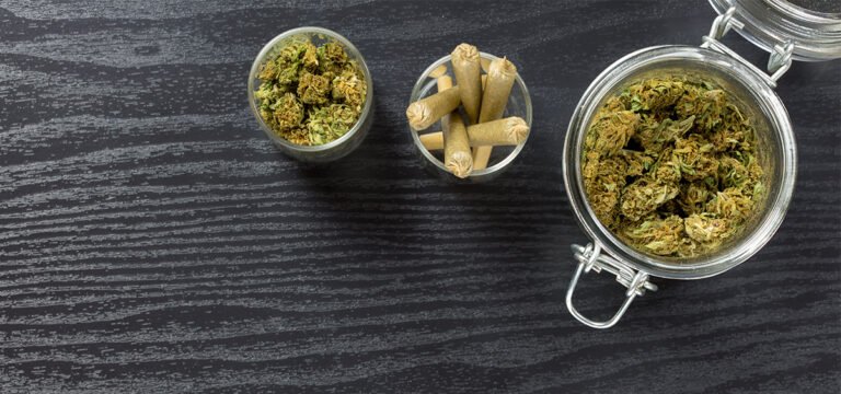 Grand Rapids, Minnesota Planning to Open City-Run Dispensary by July 2027 Grand Rapids, Minnesota Planning to Open City-Run Dispensary by July 2027