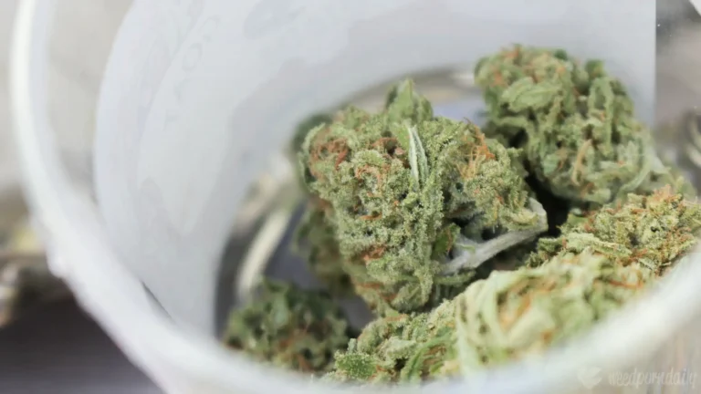 Legalizing Marijuana Reduces Personal Bankruptcy Rates As Arrests Decline, Study Shows Legalizing Marijuana Reduces Personal Bankruptcy Rates As Arrests Decline, Study Shows