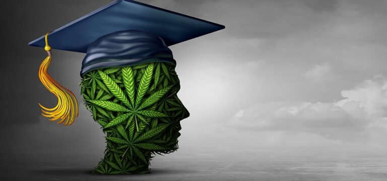 New York Launches Program to Educate Doctors About Cannabis New York Launches Program to Educate Doctors About Cannabis