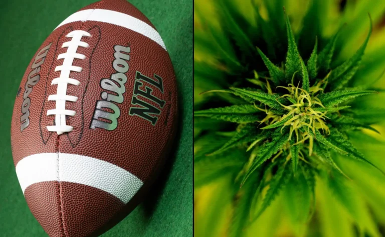 Sports Leagues Should Reduce Anti-Marijuana Stigma And Provide Honest Education For Athletes, New NFL-Funded Study Concludes Sports Leagues Should Reduce Anti-Marijuana Stigma And Provide Honest Education For Athletes, New NFL-Funded Study Concludes