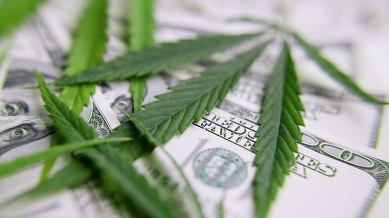 Vireo to Acquire Several Cannabist Operations Across Multiple States Vireo to Acquire Several Cannabist Operations Across Multiple States