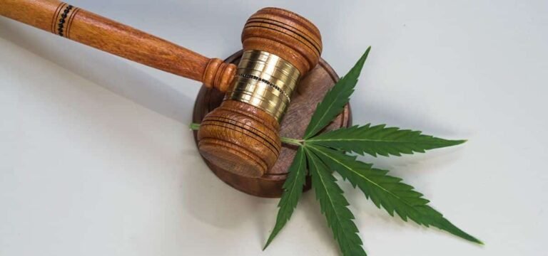 Virginia Businesses Plan Lawsuit Against State’s New Definition of Hemp Products Virginia Businesses Plan Lawsuit Against State’s New Definition of Hemp Products