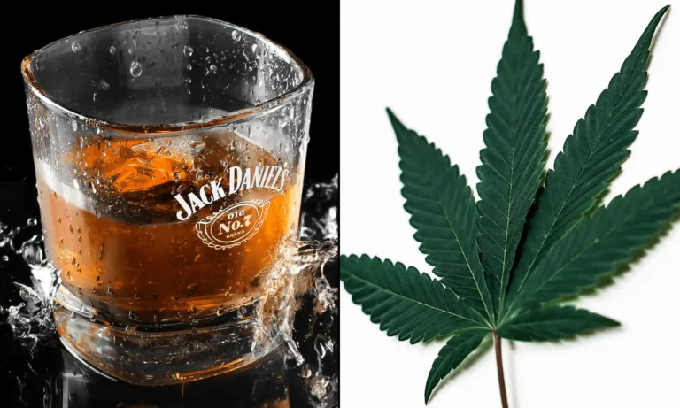 Alcohol Retailers Celebrate Senate's Move To Keep Hemp THC Drinks Legal, For Now