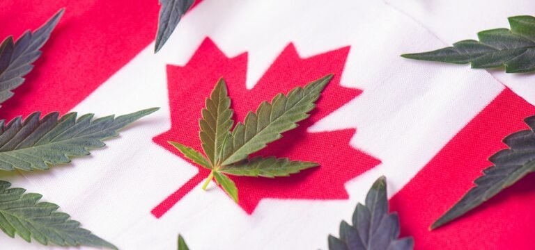 Canada Sets Monthly Cannabis Sales Record, Surpasses California as World’s Largest Legal Market Canada Sets Monthly Cannabis Sales Record, Surpasses California as World’s Largest Legal Market