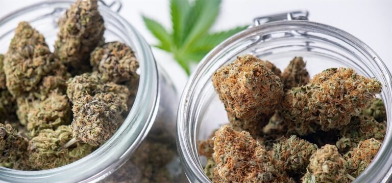 Cannabis Flower Potency Audit in Massachusetts Finds 13% of Products Test Outside Acceptable THC Variation