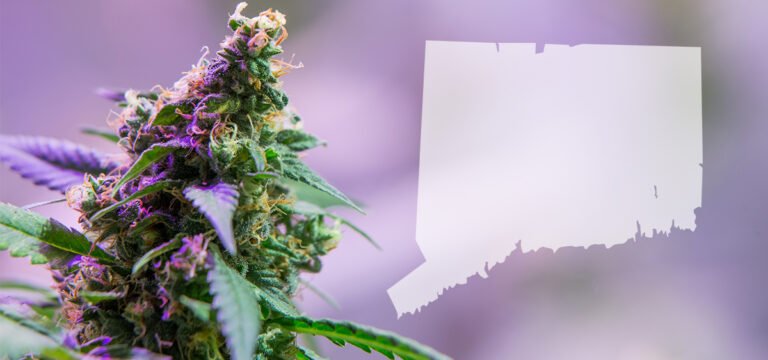 Connecticut Cannabis Tax Revenue Up 67% Due to Potency-Based Tax Model