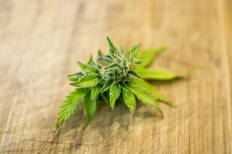 Fed lawsuit on Medicare CBD coverage advances (Newsletter: August 28, 2026) Fed lawsuit on Medicare CBD coverage advances (Newsletter: August 28, 2026)
