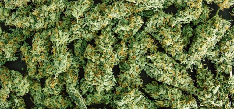 Michigan Bill Seeks to Repeal 24% Wholesale Cannabis Tax Michigan Bill Seeks to Repeal 24% Wholesale Cannabis Tax