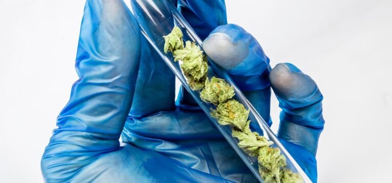 Mississippi’s Only Two Cannabis Testing Labs Merge Mississippi’s Only Two Cannabis Testing Labs Merge