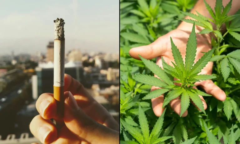More Americans Are Now Smoking Marijuana Than Ever Before As Cigarettes Hit All-Time Low, Gallup Poll Shows