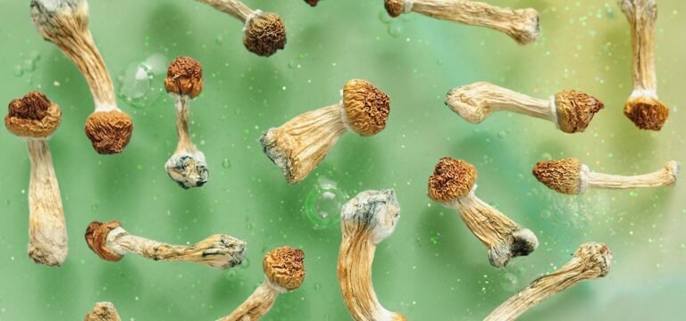Study: Oregon Psilocybin Program Provides Sustained Benefits