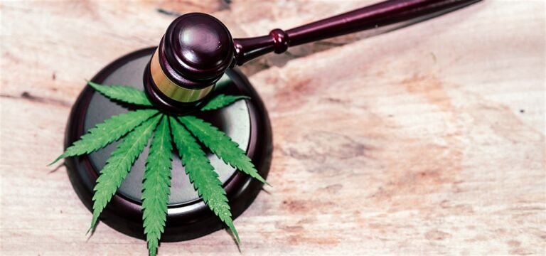 Texas Hemp Retailers File New Lawsuit Over Hemp THC Ban Texas Hemp Retailers File New Lawsuit Over Hemp THC Ban