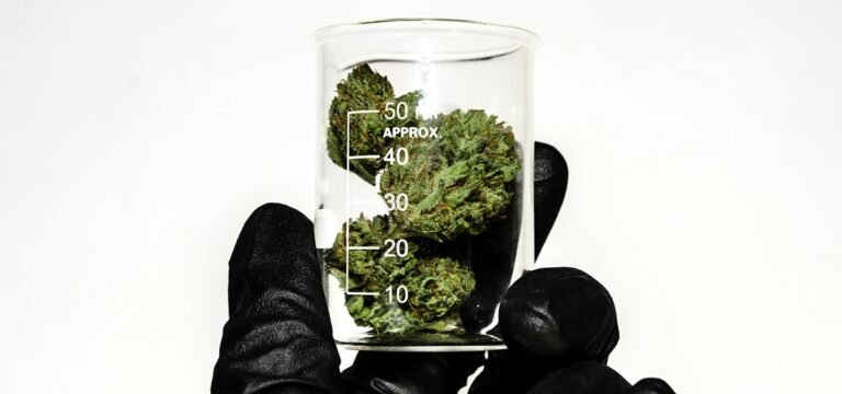 Arizona Dispensary Chain to Stop Accepting Products Tested by Two Labs Cited for Inaccurate Testing Results Arizona Dispensary Chain to Stop Accepting Products Tested by Two Labs Cited for Inaccurate Testing Results