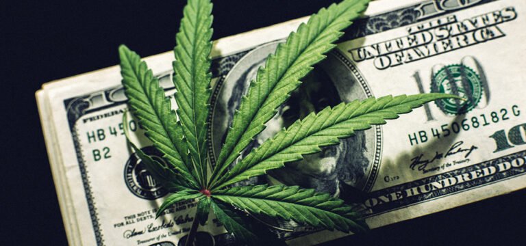 Aurora Cannabis Urges Shareholders to Reject Curaleaf’s Hostile Takeover Aurora Cannabis Urges Shareholders to Reject Curaleaf’s Hostile Takeover