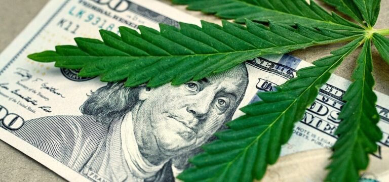 Connecticut Adult-Use Cannabis Sales Total $713M Since 2023 Market Launch Connecticut Adult-Use Cannabis Sales Total $713M Since 2023 Market Launch