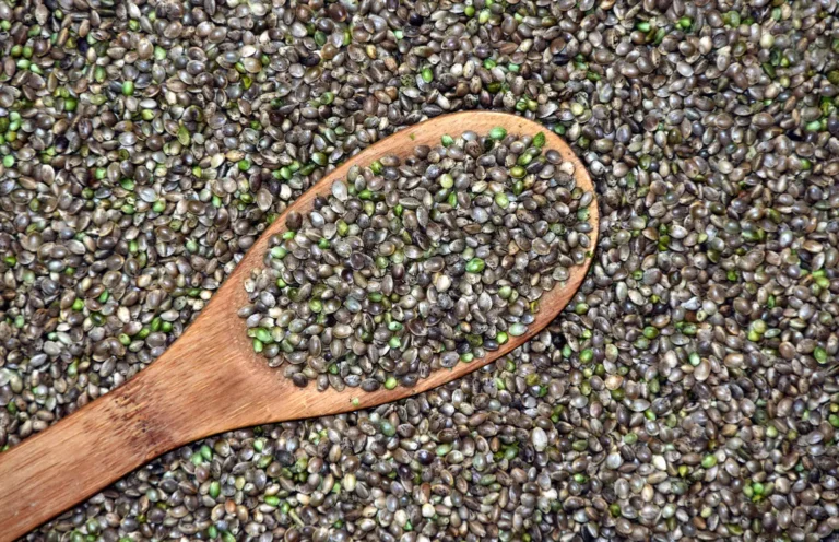 Hemp Seeds Could Be Banned As A Side Effect Of The Fight Over THC Products (Op-Ed) Hemp Seeds Could Be Banned As A Side Effect Of The Fight Over THC Products (Op-Ed)