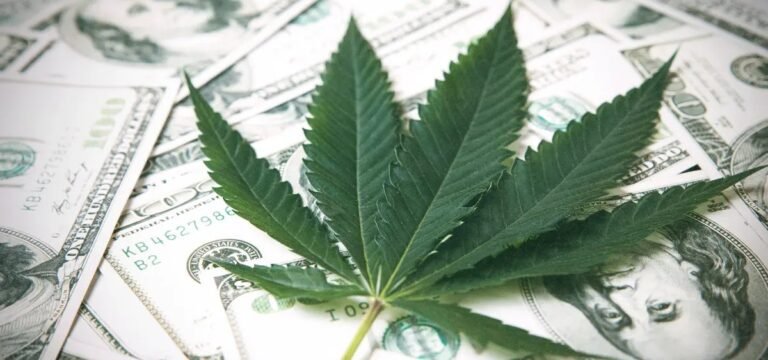 Michigan Republican Candidate for Governor Endorses Repealing Wholesale Cannabis Tax Michigan Republican Candidate for Governor Endorses Repealing Wholesale Cannabis Tax