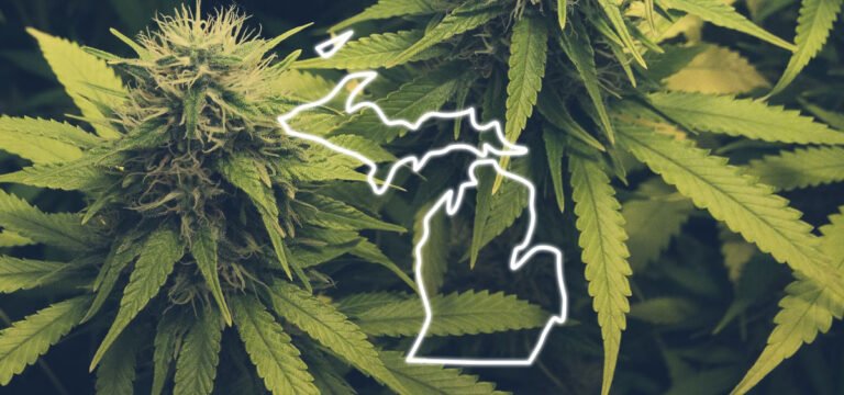 Michigan Revokes 20 Medical Cannabis Cultivation Licenses From Grower Michigan Revokes 20 Medical Cannabis Cultivation Licenses From Grower