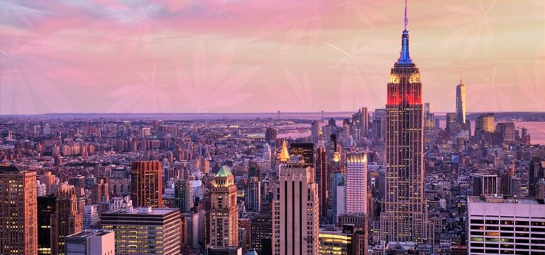 New York Survey Finds Cannabis Retail Jobs Pay More Than Other Industries New York Survey Finds Cannabis Retail Jobs Pay More Than Other Industries