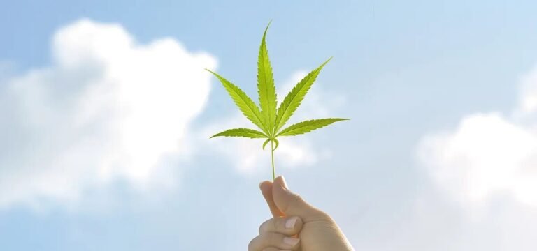 Poll: Majority in North Carolina Support Legalizing Adult-Use Cannabis Poll: Majority in North Carolina Support Legalizing Adult-Use Cannabis