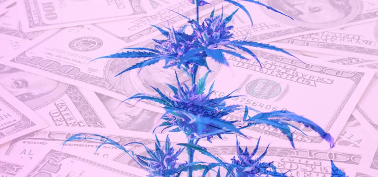 Report: Cannabis Excise Taxes Totaled Over $3.5 Billion Across 30 U.S. States Last Year Report: Cannabis Excise Taxes Totaled Over $3.5 Billion Across 30 U.S. States Last Year