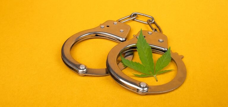 Report: Houston Cannabis Arrests Up Nearly 1200% Under Current Mayor Report: Houston Cannabis Arrests Up Nearly 1200% Under Current Mayor