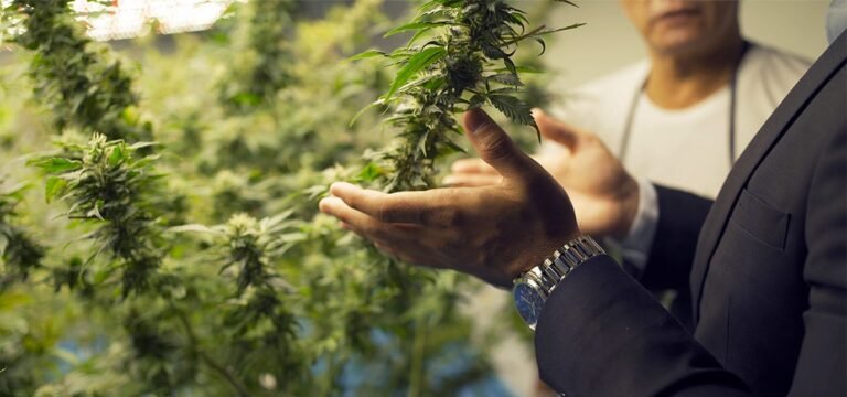 Residents of Rock Hill, Missouri Sue Cannabis Facility Over Odor Residents of Rock Hill, Missouri Sue Cannabis Facility Over Odor